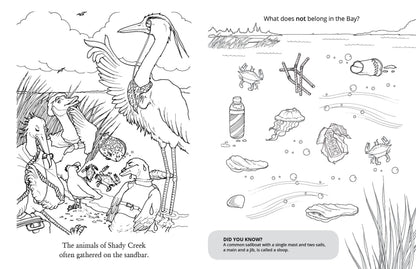Chadwick Activity Book