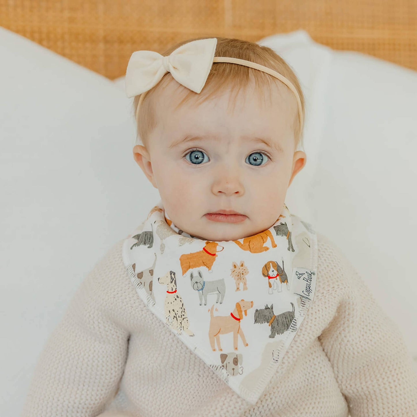 Baby Bandana Bibs - Rufus