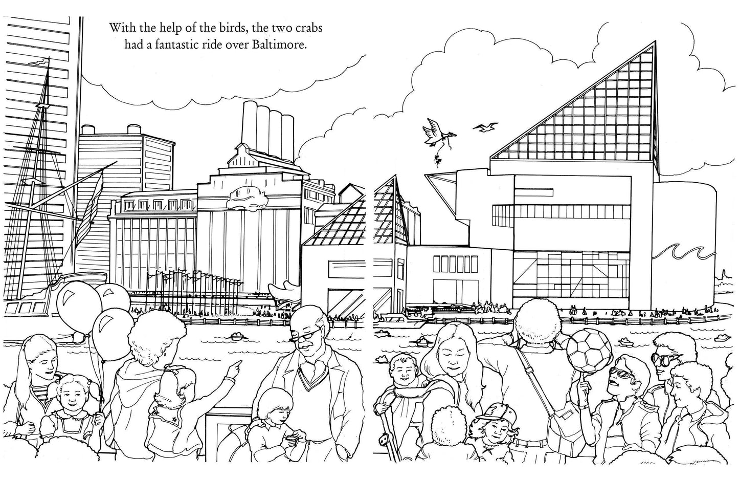 Chadwick Activity Book