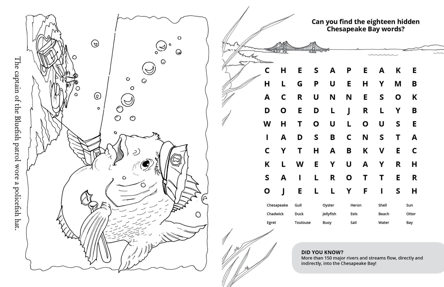 Chadwick Activity Book