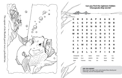 Chadwick Activity Book