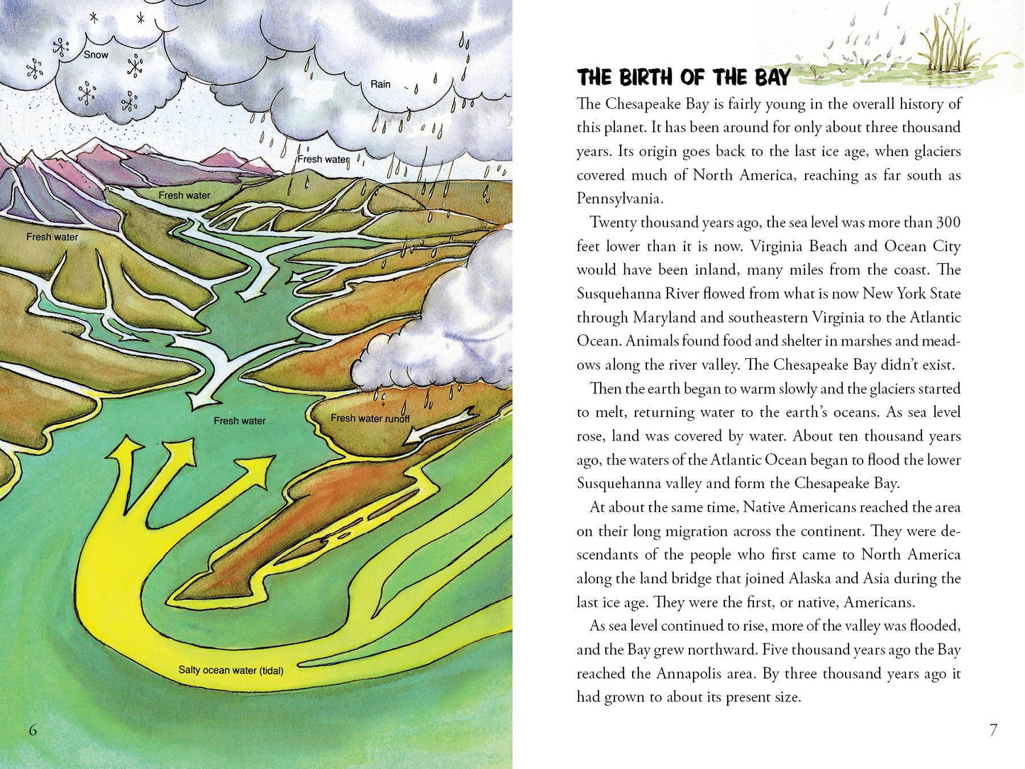 Awesome Chesapeake: A Kid's Guide to the Bay