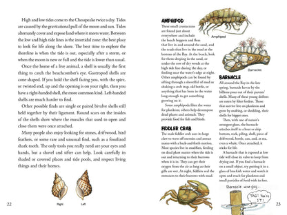 Awesome Chesapeake: A Kid's Guide to the Bay