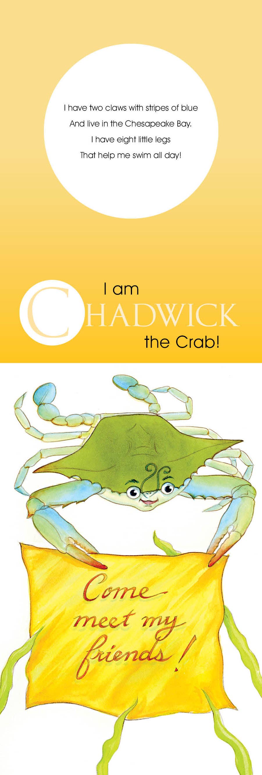 Chadwick And Friends: A Lift-the-Flap Board Book