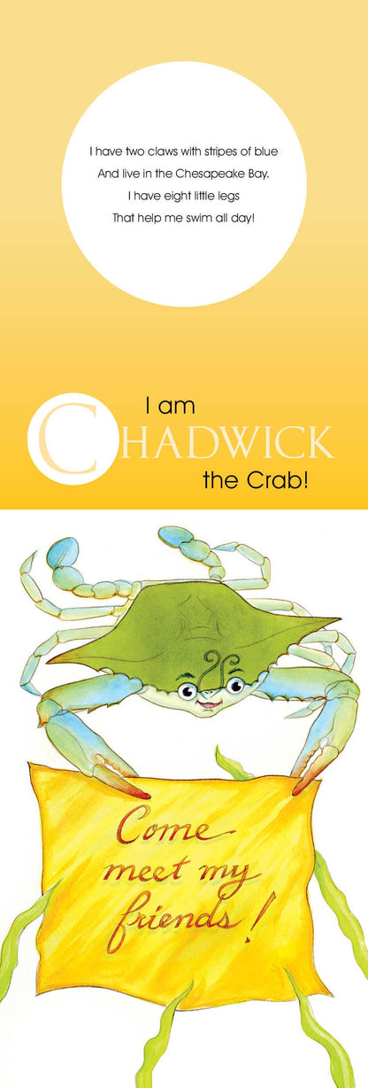 Chadwick And Friends: A Lift-the-Flap Board Book