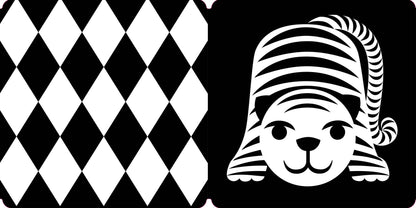 Spring Street Tummy Time: Baby's First Book in Black & White