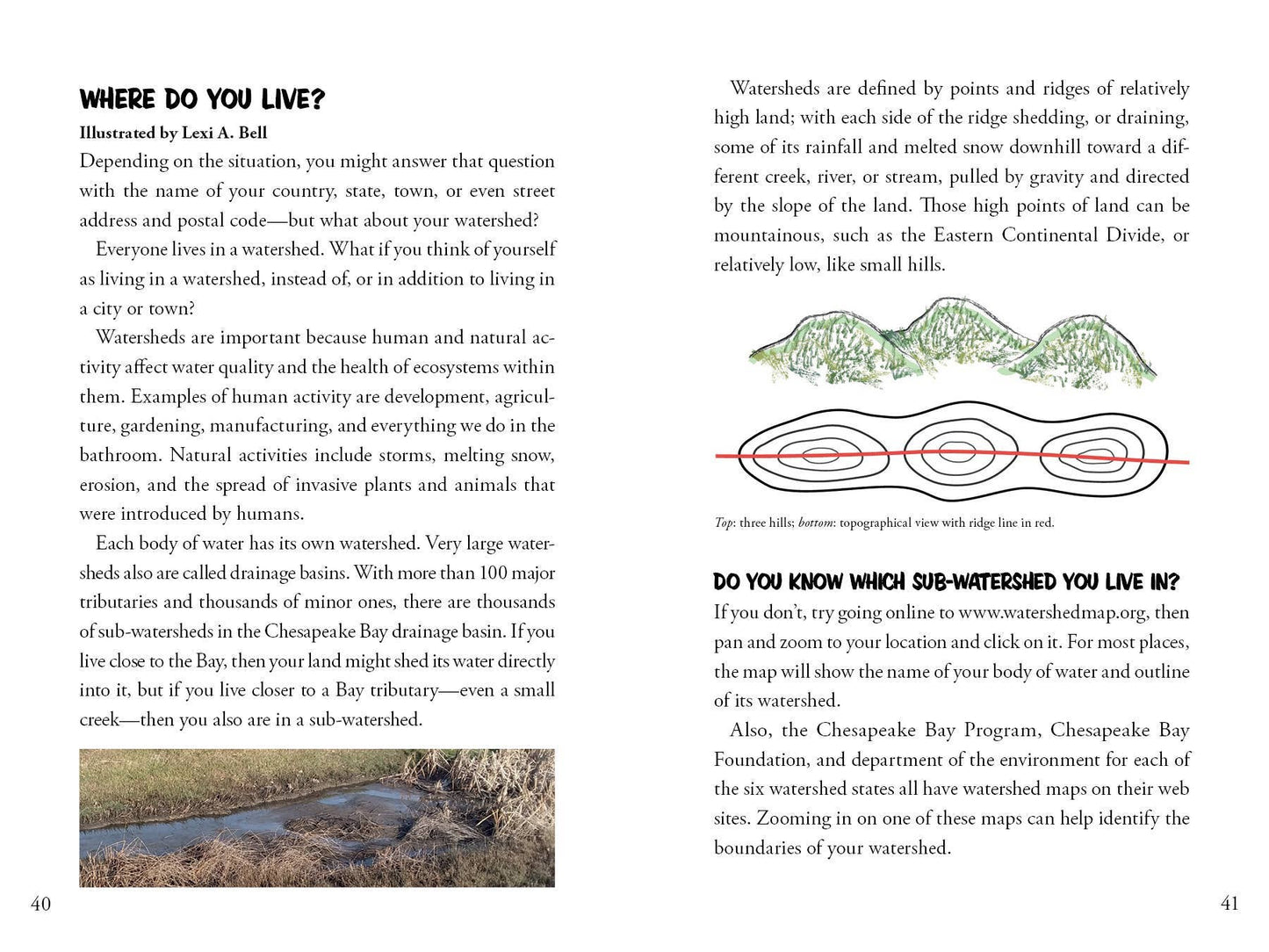 Awesome Chesapeake: A Kid's Guide to the Bay
