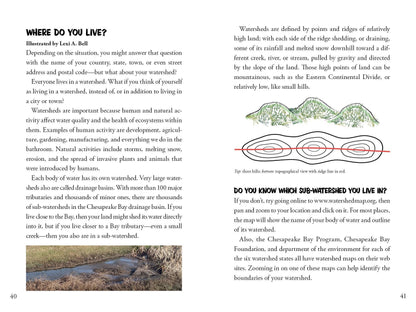 Awesome Chesapeake: A Kid's Guide to the Bay